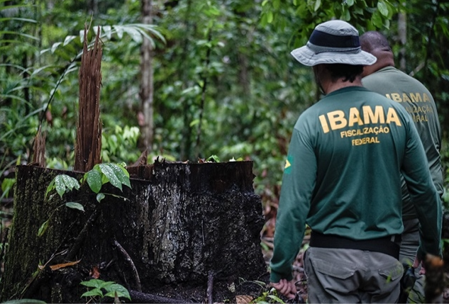 Fiscalização e proteção ambiental